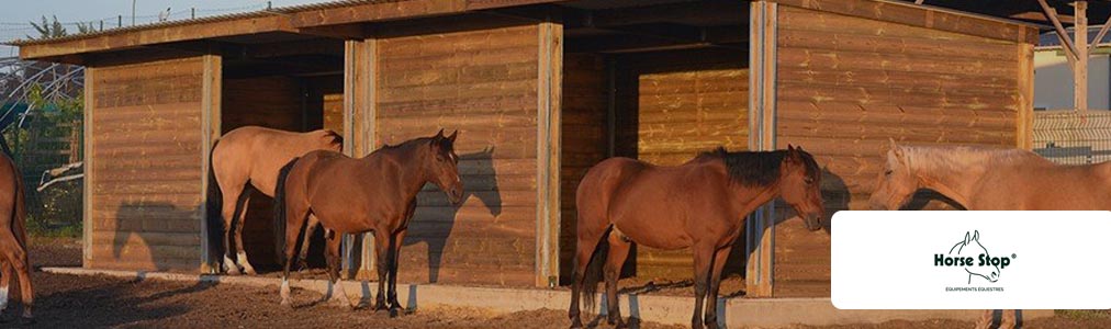ecommerce domaine equestre