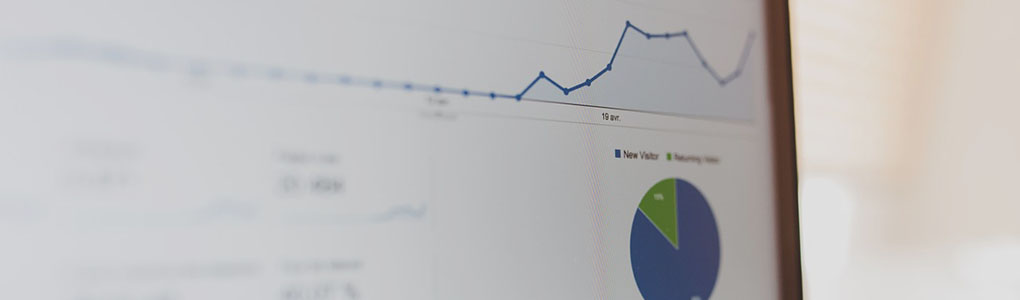 seo local